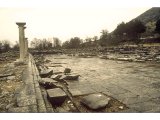 Philippi - Forum